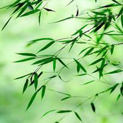 密室逃脱系列边境迷城手游下载